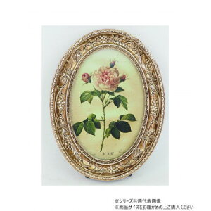 cY tHgt[ S[hfBbV 3464 Ƌ [ Ɩ | ֘AP ֎q ֎q tbN z ]| h~ ς ˂ nK[ _Xg {bNX ACfBAi S~ C