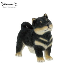 Benny's Vo QB-029BK CeA | ֘AP I er J[e \t@ `FA O ~[ xbh ؐ l炵 ؍ t@ubN TChe[u NbV Ɩ Xc[ fXN 