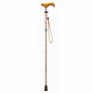 lC   ~ Ε Mtg NX}X v[g PCEzXsA  u[hbO AN-34