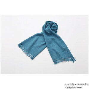 ݂₴^I }t[ Xu 160cm×34cm No.11  ^I | ֘AP oX^I tFCX^I X|[c^I ~j^I ^IPbg  }CNt@Co[ z  _炩