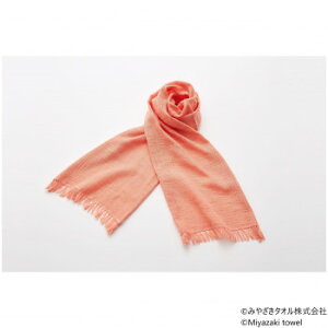 ݂₴^I }t[ Xu 160cm×34cm No.21 X ^I | ֘AP oX^I tFCX^I X|[c^I ~j^I ^IPbg  }CNt@Co[ z  _炩 