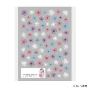 TSUMEKIRA(cL) lCV[ filervf[X I[KW[t[2 N[ NN-FIL-003 N e  | ֘AP Xv[ et  Ɠd  uV |[` t Ƃ Zbg 