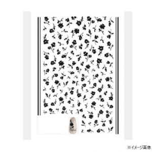 TSUMEKIRA(cL) lCV[ effrontee kyokovf[X W_ ubN NN-EFK-016 N e  | ֘AP Zbg LbY WF [[ XgAbv X`[}[  Gv C 