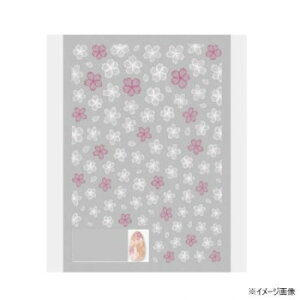 TSUMEKIRA(cL) lCV[ 炵ݍ2 NN-SKR-011 N e  | ֘AP Xv[ et  Ɠd  uV |[` t Ƃ Zbg LbY WF [[ XgAb