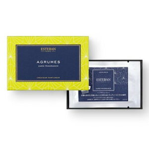 { ESTEBAN(GXeo) J[htOX AO[ 52150   | ֘AP TԂ @Mtg Mtg  Au Mtg e{ uMtg l\Ԃ 