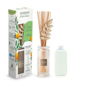 { CeAK[f i`[ IWO[eB[ ^u[PfBt[U[ 52541   | ֘AP Mtg zAMtg i @vԂ  