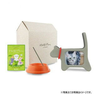 { n[gt[Zbg GWFELbg 89533   | ֘AP uMtg j i e{ Cj o TԂ j j Mtg oYj