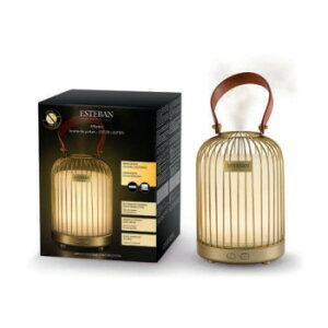 { pt[~XgfBt[U[ sI 52370   | ֘AP @Mtg Cj Mtg TԂ e{ oYj  j i Mtg uMt