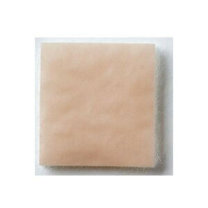 lC   ~ Ε Mtg NX}X v[g nN]EfBJ nN]EALGpbh 2×2cm 1ŋ 100ܓ 1290201