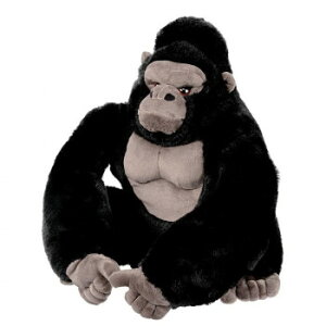 zNV CPSwbhJo[ DRp OHC0071 LN^[ ObY ACfBA G  | ֘AP RNVG ~j`AG fBXvCG CeAfBXv