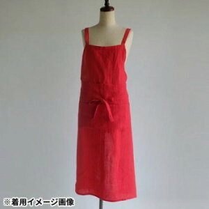 u̔ tGv l O[CO J[h bh 303458RD   Lb` | ֘AP ACfBA W[T[ ~LT[ ֗ Z  g VՂ g P[L NbL[ 