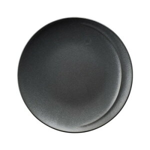 光洋陶器 アルコ クリスタルブラック 27.5cmプレート 14431002 食器 | 関連単語 小鉢 和風 大容量 カップ おしゃれ 茶碗 軽量 陶器 セット 食洗機対応 陶磁器 丸皿 モダン 洋食器 来客用 プレート
