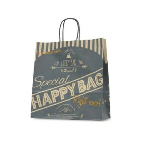 R T-6 HAPPY BAG(lCr[) 1614 50  ΂ | ֘AP rWlXobO  A4[ o ʋΗp v u[tP[X PC[ t@Xi[t ނ΂ V_[obO g[gob