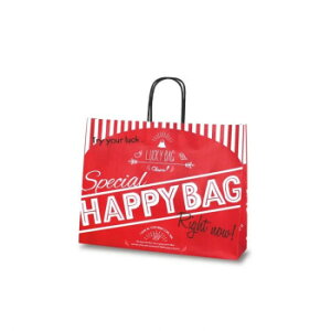R T-Y HAPPY BAG 1535 50  ΂ | ֘AP rWlXobO  A4[ o ʋΗp v u[tP[X PC[ t@Xi[t ނ΂ V_[obO g[gobO ΂߂