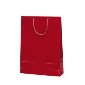 エクセルバッグ手提袋 ワイン 1103 10枚 鞄 かばん | 関連単語 出張 肩掛け ファスナー付き キャンバス レディース メンズ 通勤 リュック 大容量 軽量 トート ショルダー 防水 ビジネス ナイロ