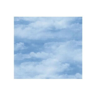  NEh(u[) S 733 100