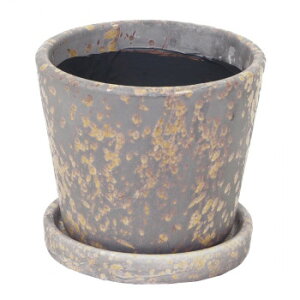 MURATAYA p`B|bg L CG[O[ 1549   Lb` | ֘AP ֗ Z  g VՂ g P[L NbL[ ^  Ă^ َq Č^ gO w  XCT[