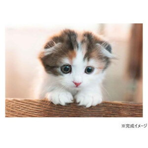 WO\[pY 300s[X XReBbVtH[h(֗R)  03-941 Q[  { | ֘AP J[h c gJ 3 G{ pY 4 m Ԃ 킢 w  q