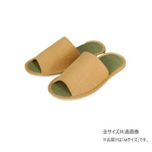 Xbp(炭炭) MTCY/x[W TSN341624 C V[Y C \bNX | jO gbLO X|[c ʋ ʊw O  dp p wZp oR JVΉ ʋC z R 
