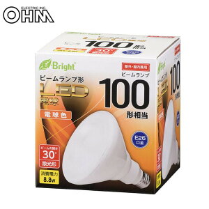 ACfA ֗ ObY LEDd r[v` U` E26 100` dF LDR9L-W20/100W  ȑSꗥ 