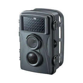 セキュリティカメラ CMS-SC01GY 人気 商品 送料無料