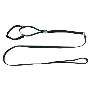 G  v[g pP[h ^p \tg}[`Q[h M   IV 킢