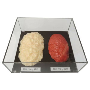 可愛い べんり 脂肪/筋肉対比セット(アクリルケース入)500g IP-981 人気 送料無料 おしゃれな 雑貨 通販