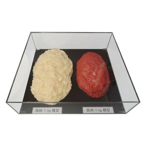bƋ̖ؓ͌^łB Y:{ fށEގ:rj[AAN iTCY:37×33×10cm