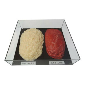 bƋ̖ؓ͌^łB Y:{ fށEގ:rj[AAN iTCY:42×37×10cm