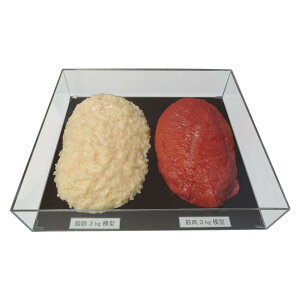 bƋ̖ؓ͌^łB Y:{ fށEގ:rj[AAN iTCY:48×42×10cm