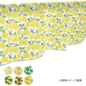 Ƌ CeA l炵 t@~[ Ƒ Ƌ Ƌ CeA  JtFJ[e  800×450mm E40536^Lb`̑I̖ډBɂ  