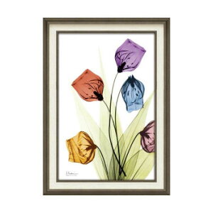 ̂܂܃LoXցEEEǂȃCeAɂf܂B Y:{ fށEގ:t[ALoX iTCY:W50×H70cm d:1500g dl:Ǌ|p