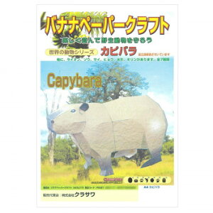 oiiy[p[Ntg Jso A4(297×210mm) 1 P0027 5Zbg   a ֗G pi