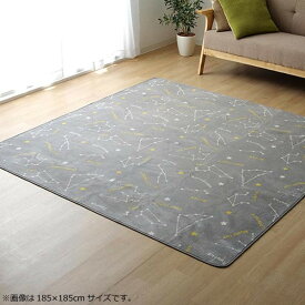 ラグ カーペット ホットカーペットカバー 『WSミリオン　RUG』グレー約200 × 250 cm 9809982 サイズ 約200 × 250 cm 個装サイズ ： 45 × 35 × 15 cm