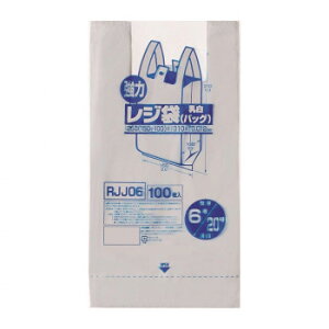 WpbNX W ֓6/֐20  100×20×4 RJJ06  a ֗G pi