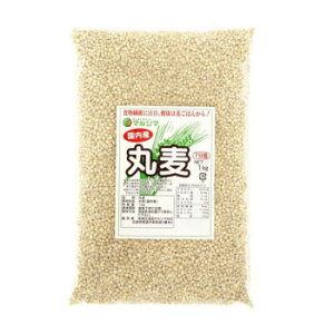 yHi ֘A }V} ۔ 1kg×3 2521   