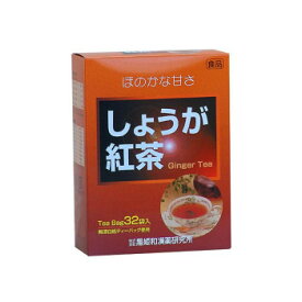 可愛い べんり 黒姫和漢薬研究所 しょうが紅茶 3.5g×32包×20箱セット 人気 送料無料 おしゃれな 雑貨 通販
