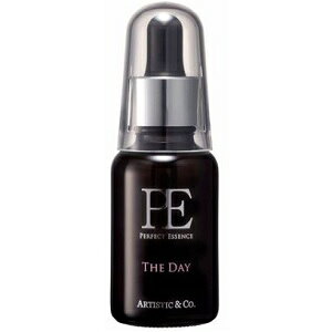 �A�[�e�B�X�e�B�b�N�A���h�R�E PE�U�E�f�C30mlARTISTIC��Co. PE�U �f�C 30 ml