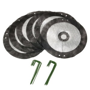 lC   ~ b  킢  N Ε Mtg NX}X Ε v[g ݂₰ G݊֘A 悯 炢炸 6gst 811353 IXX 