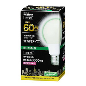 Ɩ֘A 5Zbg ʓd`LED 60W F LDA7NGX5 IXX 