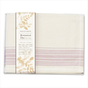 CeA֘A {^jJ_C@Ȃ߂炩Rbgn[tѕz@p[v K20701527   