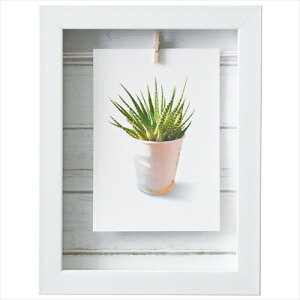 CeA֘A Nbvt[ K20309310   