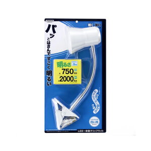 �l�C �������� ��� �~ ���Ε� �M�t�g �N���X�}�X �v���[���g �Ɩ����֘A YAZAWA 9W�����FLED�t���L�V�u���N���b�v���C�g�z���C�gCFLE09D07WH �������� �������� �������