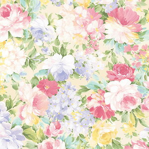 y ()(50) G撲̉ԕB [J[^:49-1507 e:(528×750mm) ގ:㎿(64g/)(Fx72%) TCY:550×278×25mm() d:1.3kg :PE Y