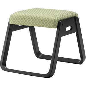 �l�C �ɂ� ninnki ��Ε� �C�x���g �݂₰ ���A ���� �ȑ��� ���݂₰ ���蕨 �N���X�}�X ���Ε� �A�C�f�B�A�O�b�Y �֗� �O�b�Y ���J �X�^�b�L���O�X�c�[�� �O���[�� BC-110FYE �D�]