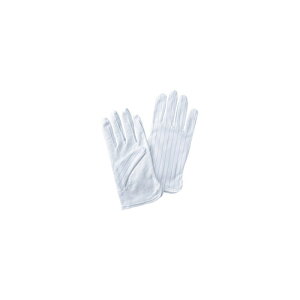 p\R p[c i LAN X^h  }EX X}[gtH OA@  X}z fW^֘A | TTvC ÓdCh~ ~ߕt TK-SE12M