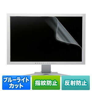 パソコン パーツ 部品 LAN スタンド 情報 マウス スマートフォン OA機器 周辺 スマホ デジタル関連 | サンワサプライ 21.5型ワイド対応ブルーライトカット液晶保護指紋反射防止フィルム LCD-215WB
