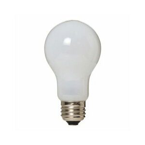 YAZAWA VJ60W` LW100V60WWL ֘AF( ʔ ObY i ֗ ̓ ̓ NX}X  v[g)