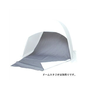 Gc~ h[X^WIpobNXN[Sp E-1574 | vWFN^[ XN[ ֘AP X}[gtH X^h V v AJ[ C` J[e eg 100 pc p\R ^ ^ 