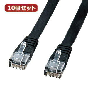 10ZbgTTvC UTPGnXhJeS5tbgP[u(ubNE1m) LA-FL5-01KX10 | P[u ֘AP fBXvC p\R DVD AiO fW^ usb PC Ӌ@ ANZ